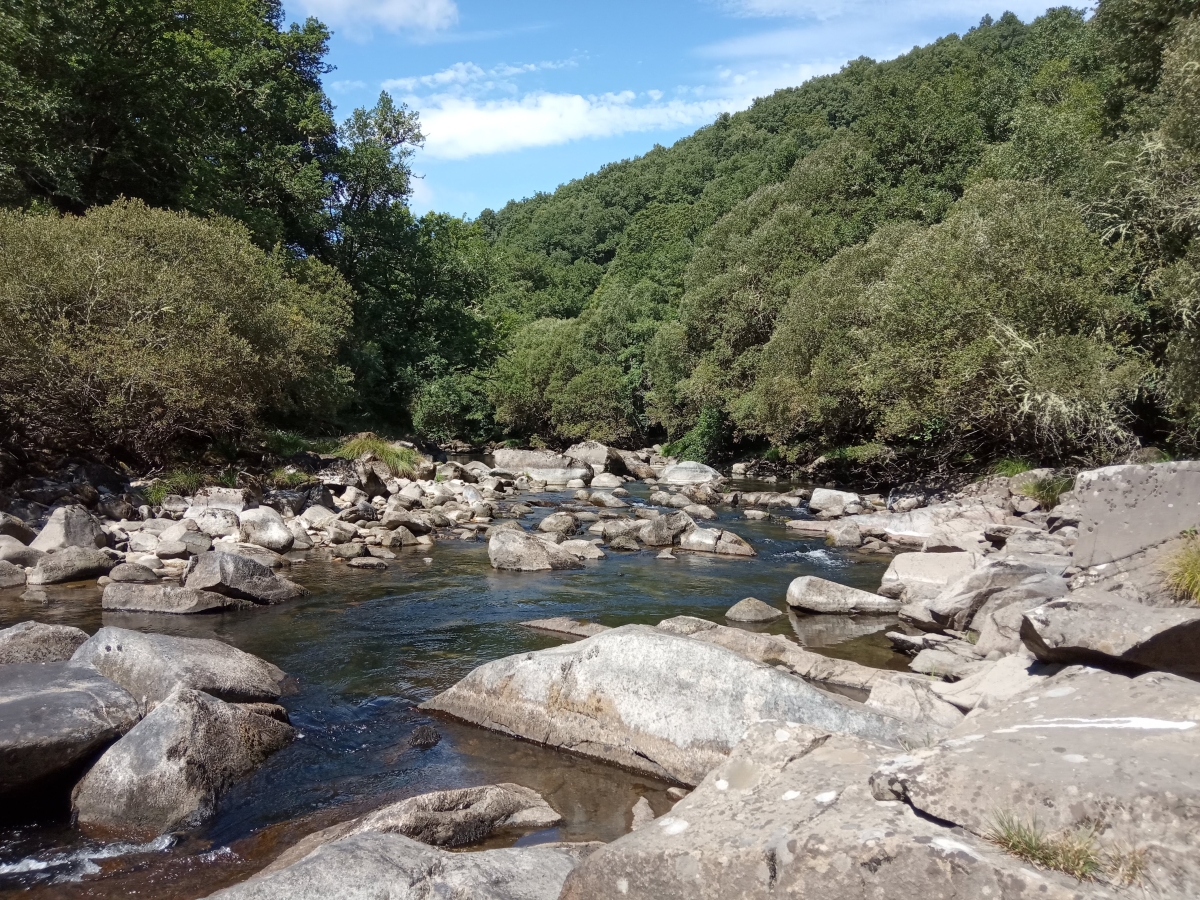 Kayak en Gustolas. Trives-San Xoan de Ro. Ourense. Galicia
