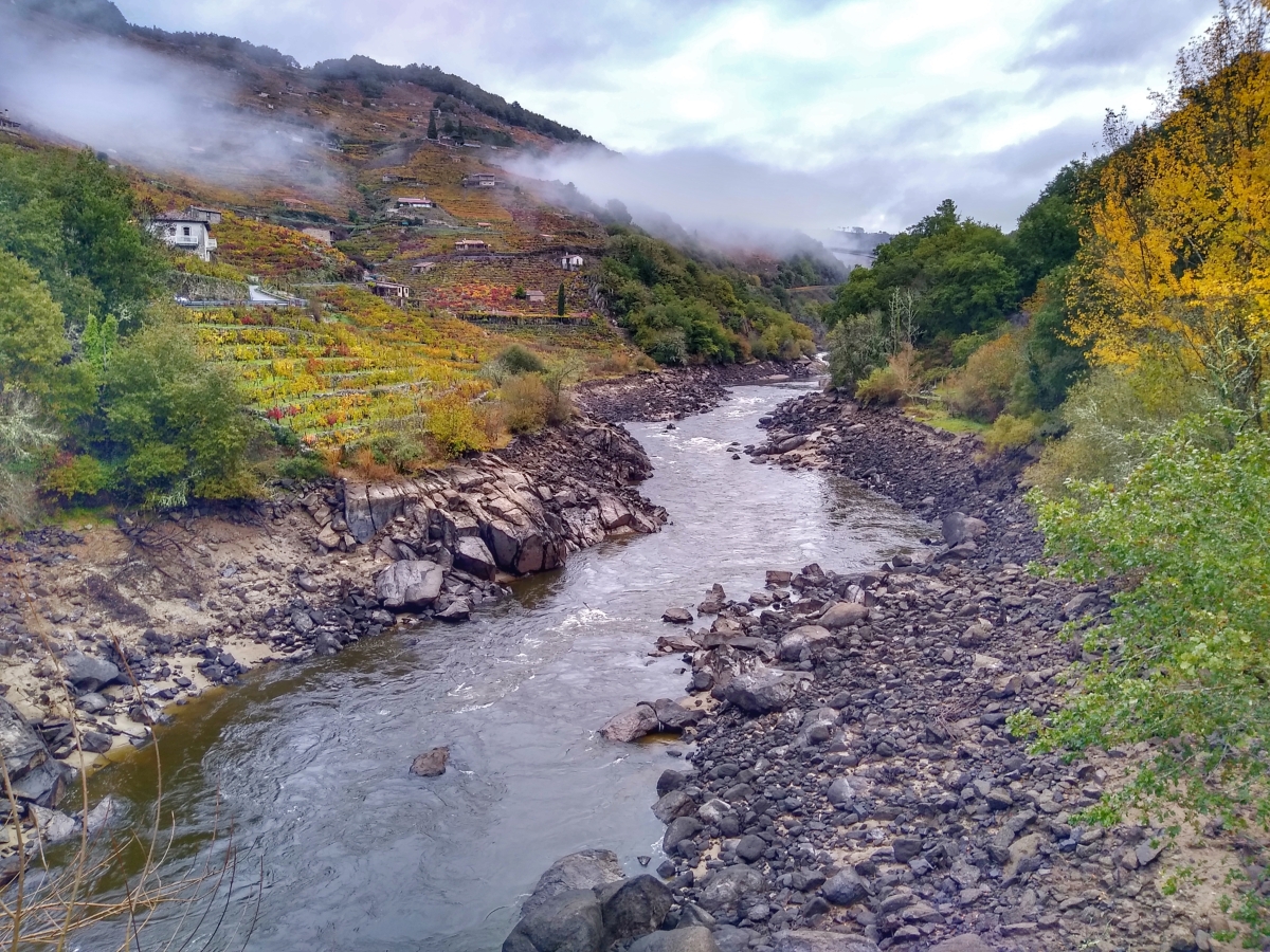 Ro Mio . Chantada/O Saviao Lugo. Ribeira Sacra. Galicia