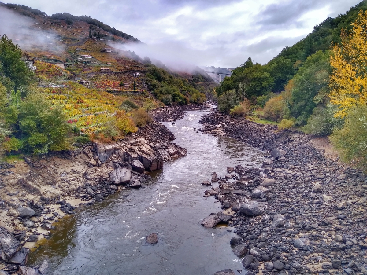 Ro Mio. Chantada/O Saviao Lugo. Ribeira Sacra. Galicia