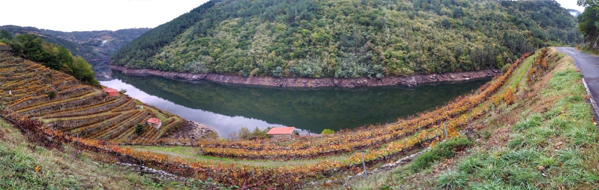 Belesar. Chantada/O Saviao Lugo. Ribeira Sacra. Galicia