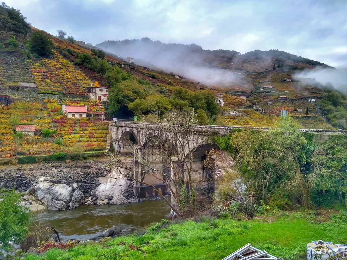Belesar. Chantada/O Saviao Lugo. Ribeira Sacra. Galicia