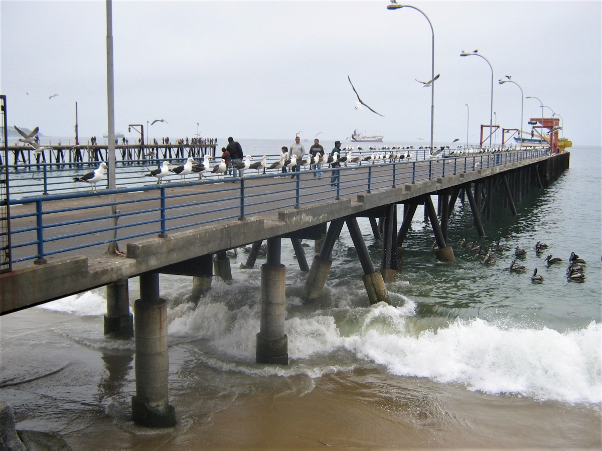 Muelle en el puerto 