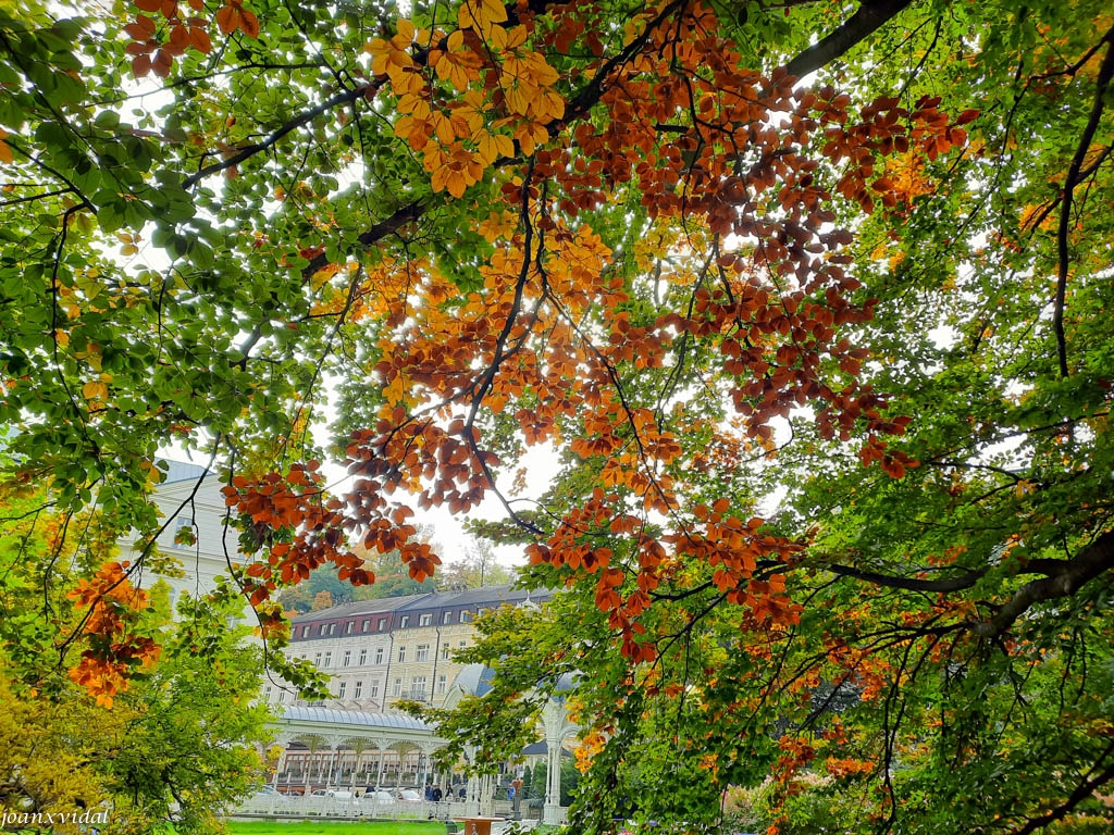 KARLOVY VARY