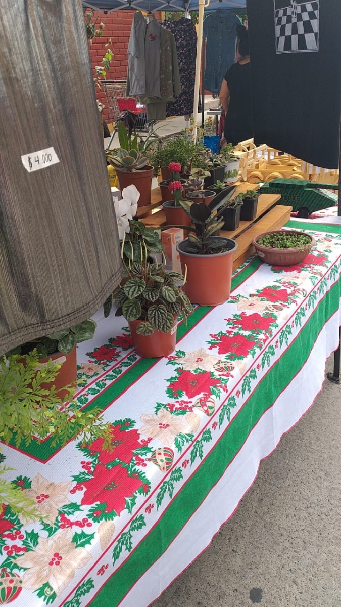 Feria navidea en la villa 2