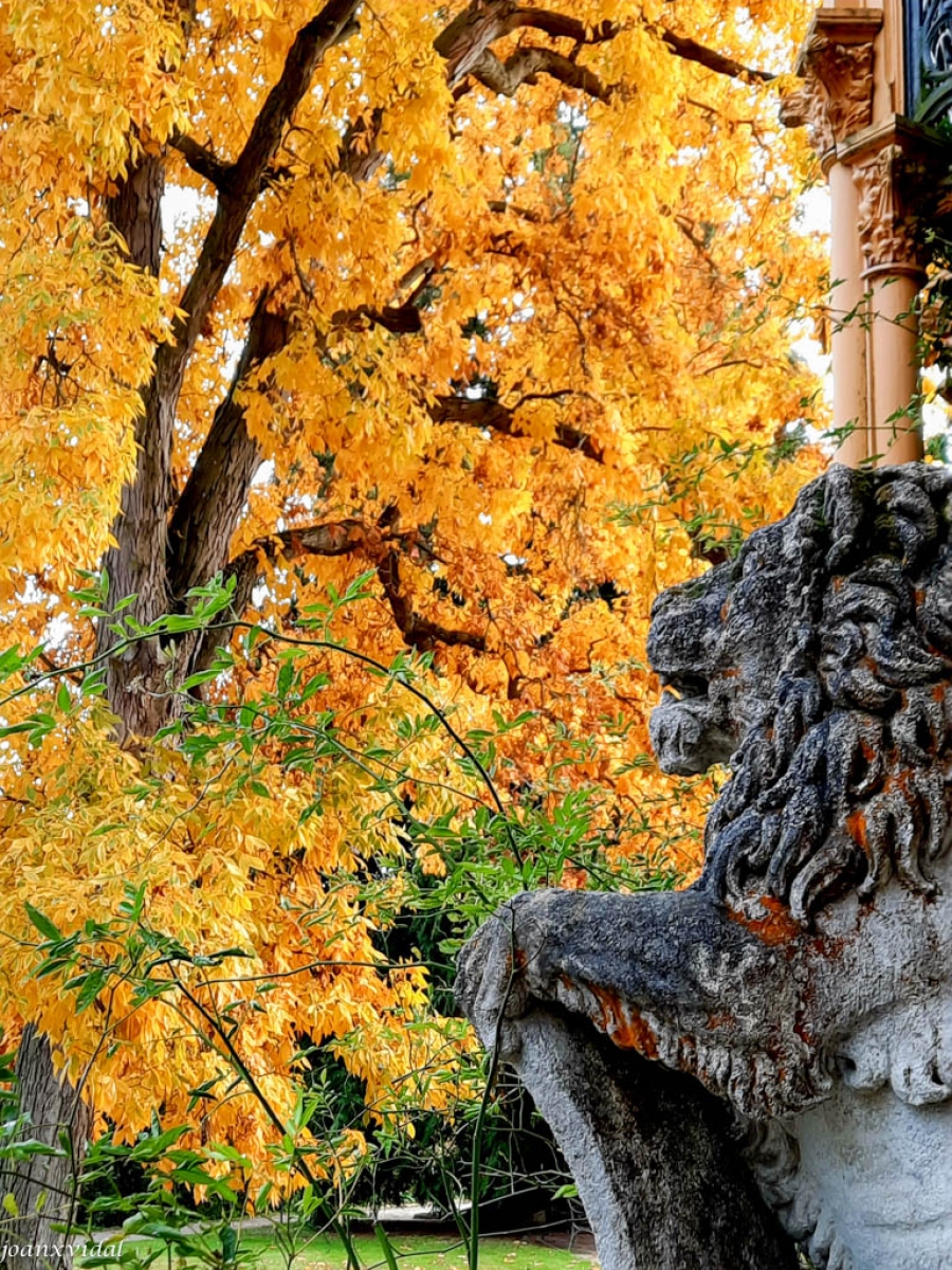 JARDINS DEL PALAU DE HLUBOK