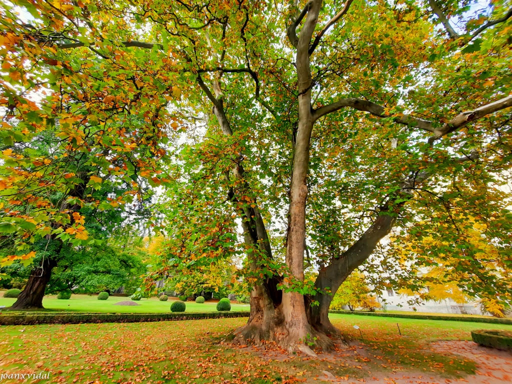 JARDINS DEL PALAU DE HLUBOK