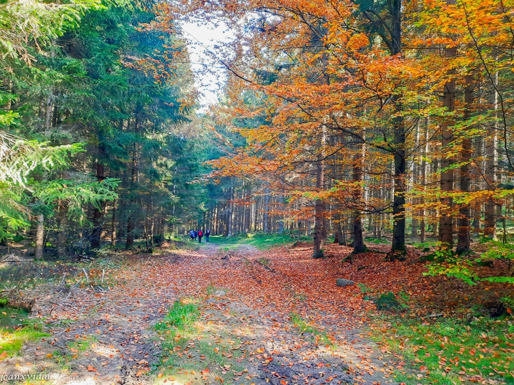 NARODNI PARK SUMAVA