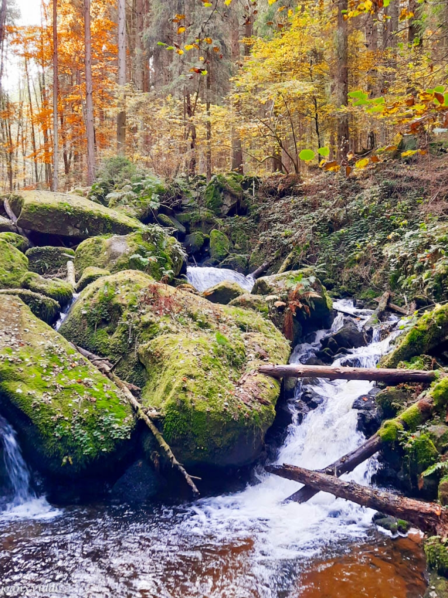 NARODNI PARK SUMAVA