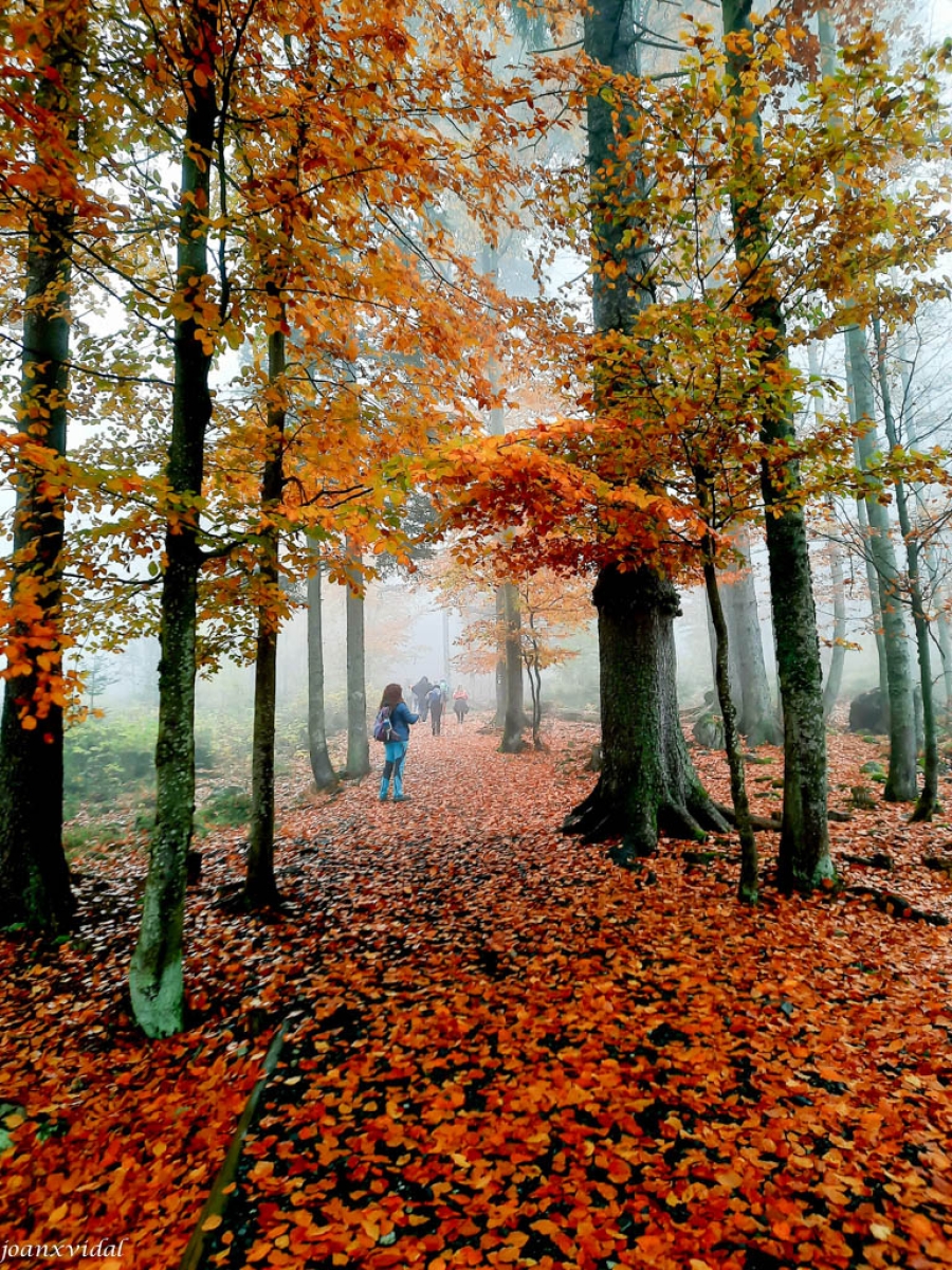 NARODNI PARK