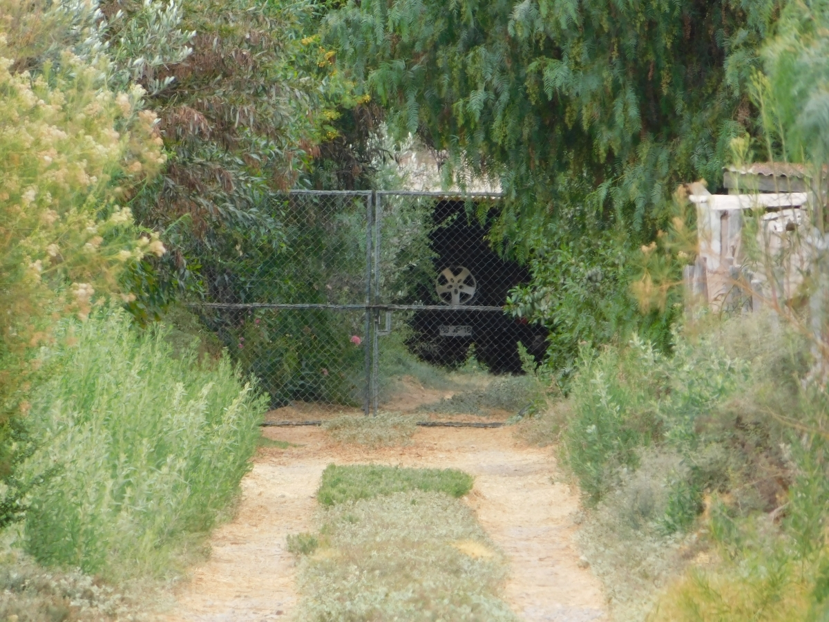 Entrada de vehculo 