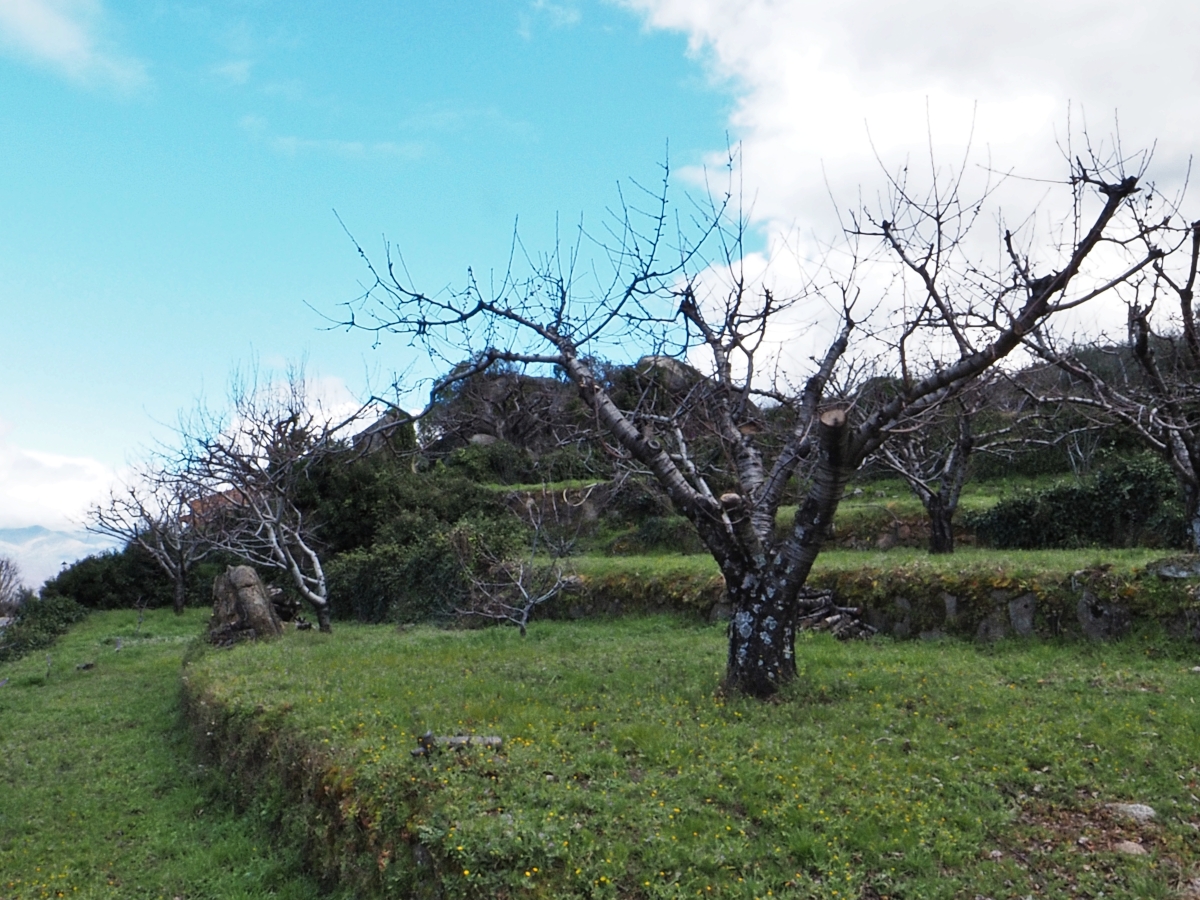 Paisajes de Bancales IV