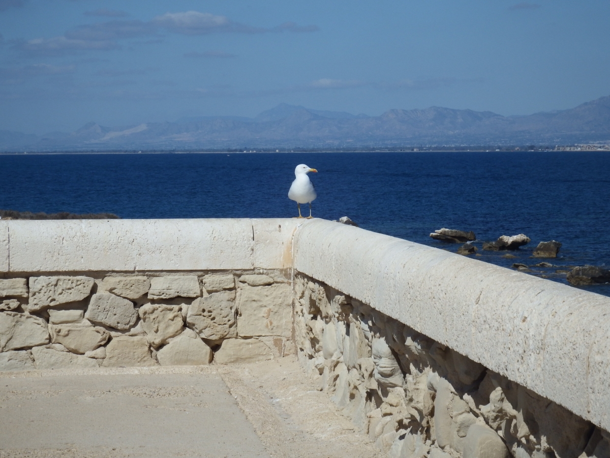 El mar desde la muralla