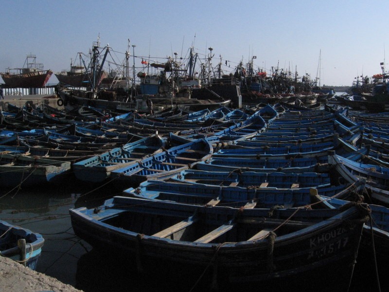 barcas de pesca