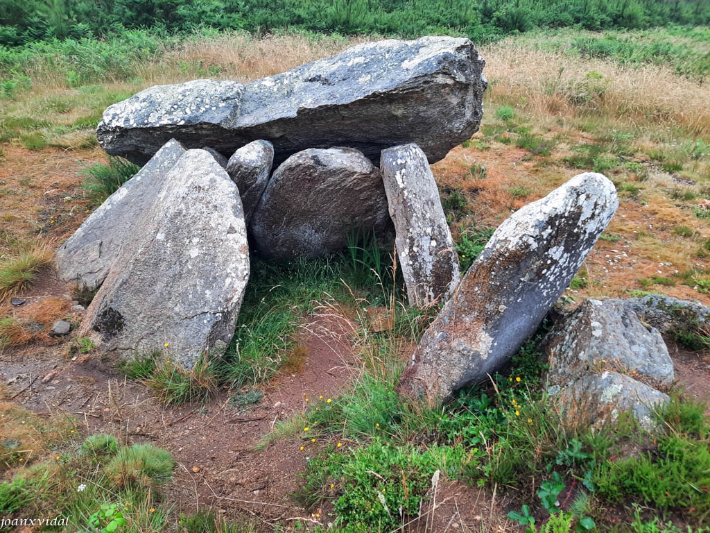 DOLMEN DA PEDRA DA ARCA