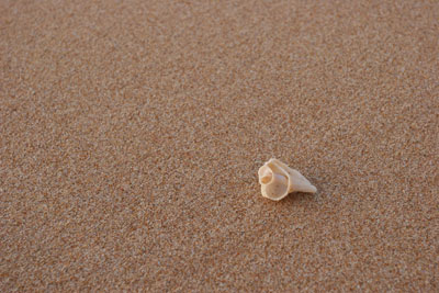 Caracola