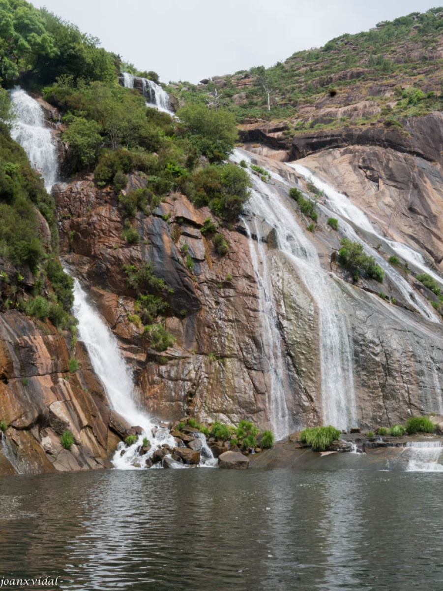 FERVENZA DO ZARO