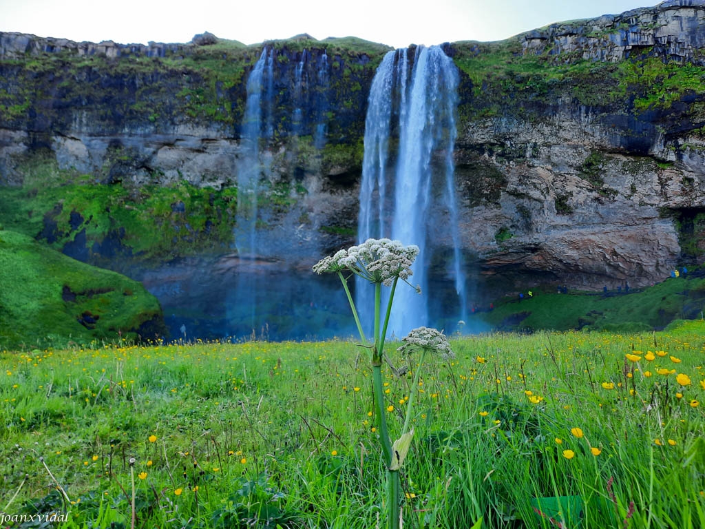 SELJALANDSFOSS