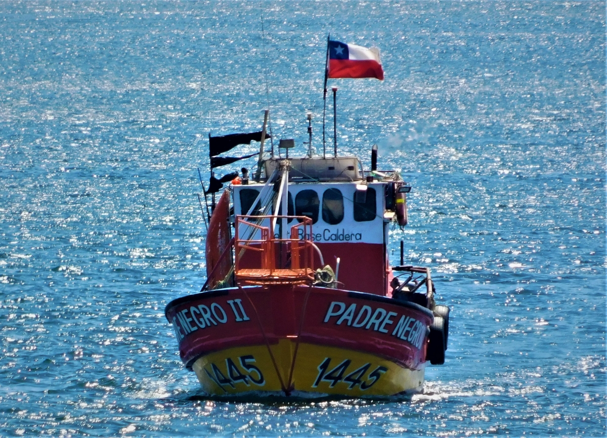 Vista de la baha 