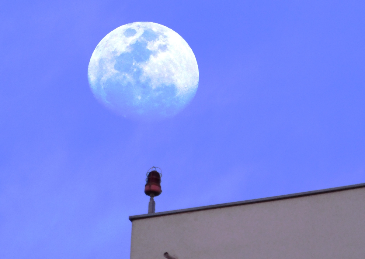 Comunicndome con la luna