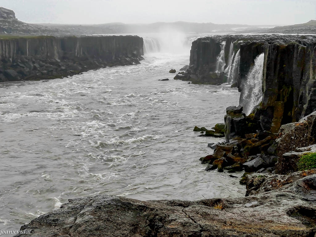 SELFOSS