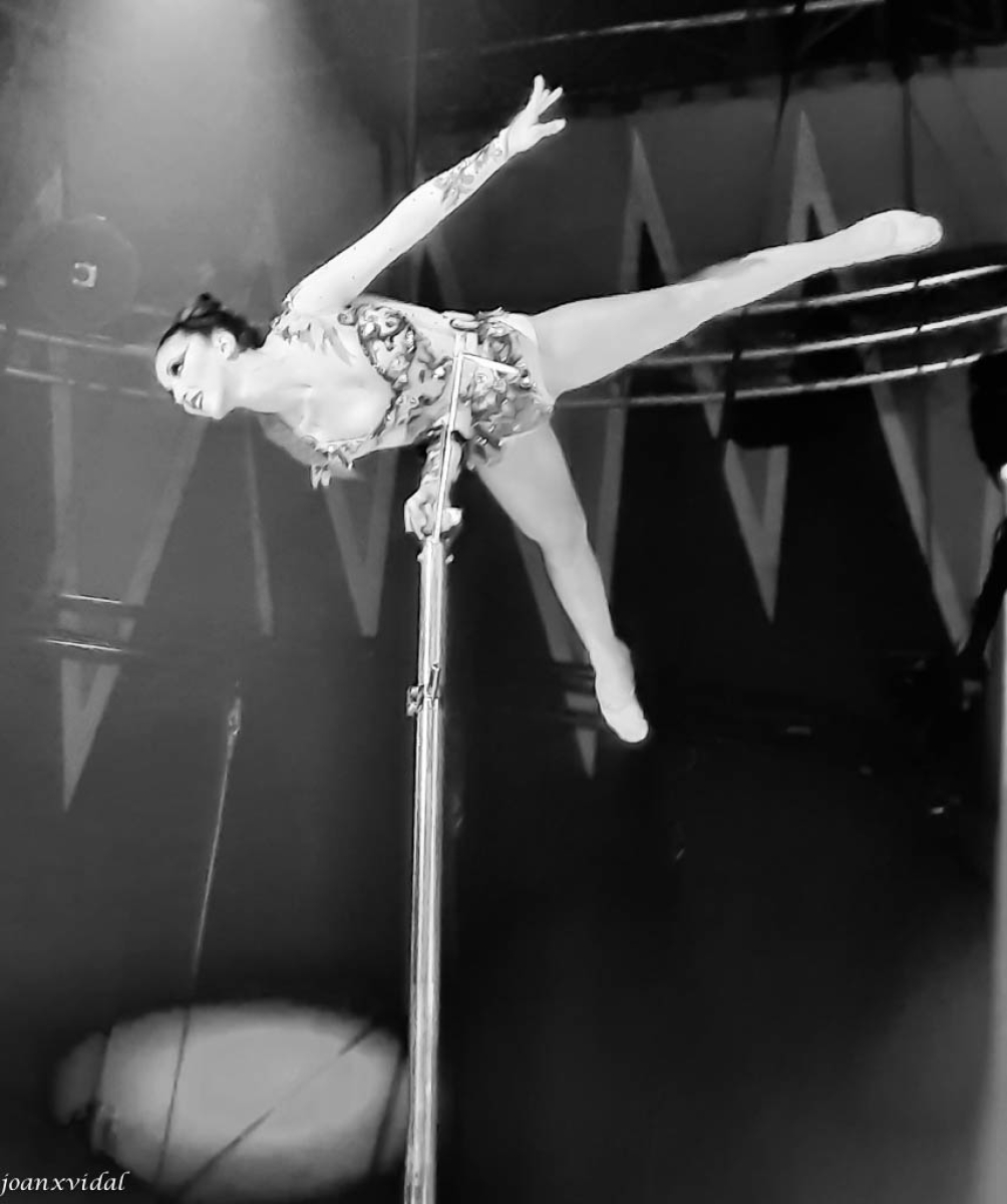 12na EDICI FESTIVAL DEL CIRC GIRONA