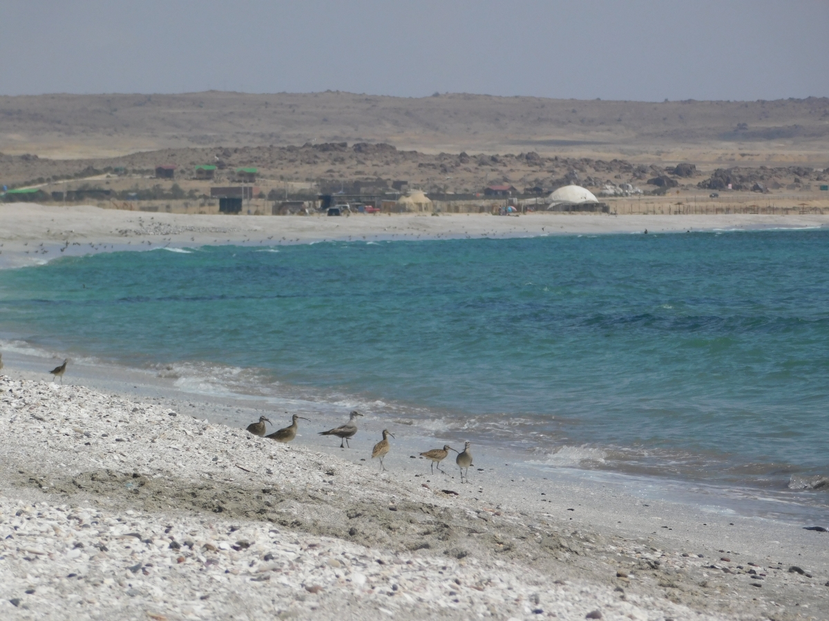 Playa con aguas turqueza