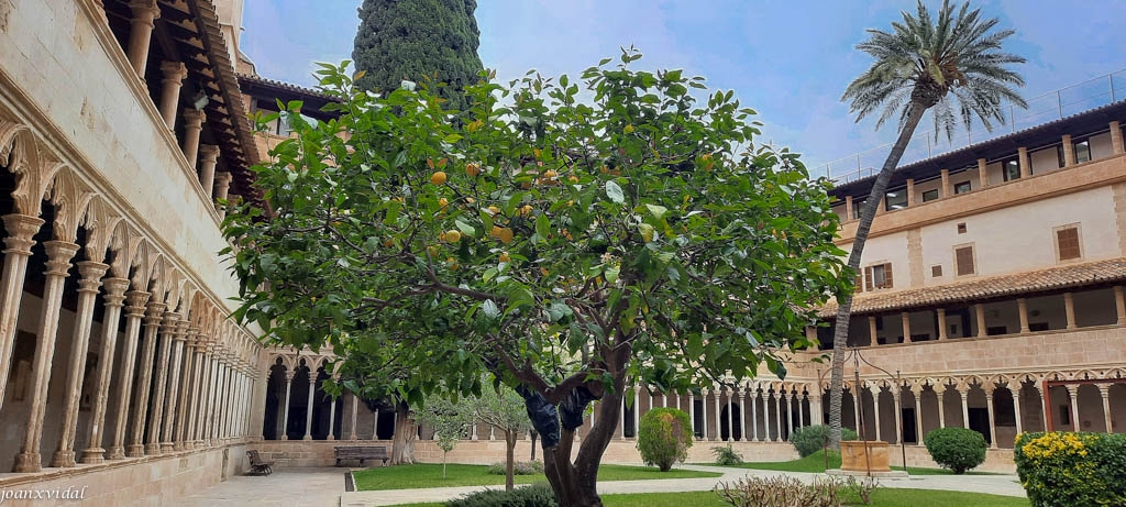 CLAUSTRE CATEDRAL DE SANT FRANCESC