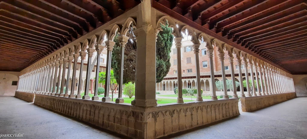 CLAUSTRE CATEDRAL DE SANT FRANCESC