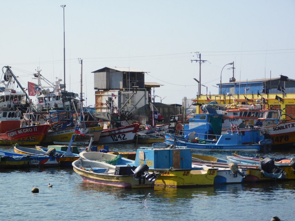 M puerto querido 