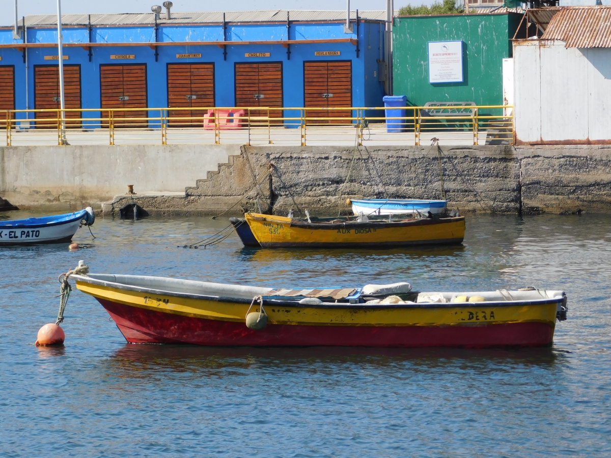 Mi puerto querido