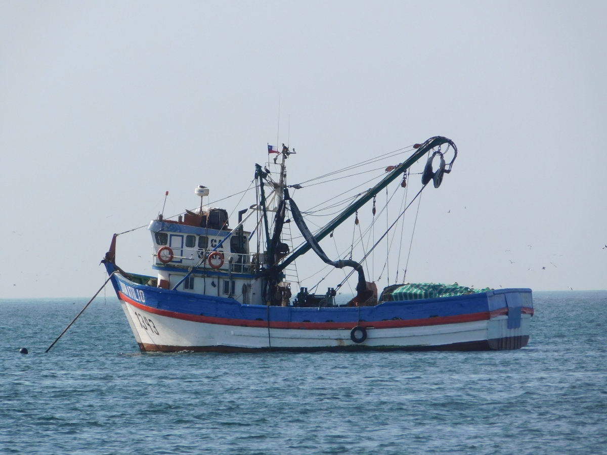 M puerto querido 2