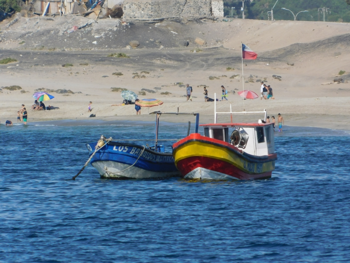 Mi puerto querido