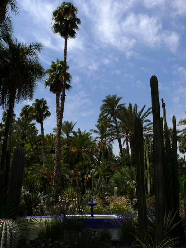 estanque con palmeras