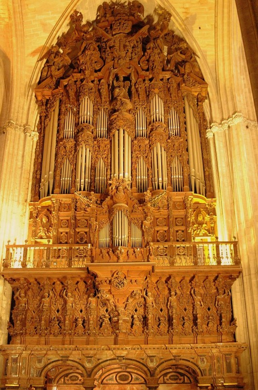 Organo de la Catedral