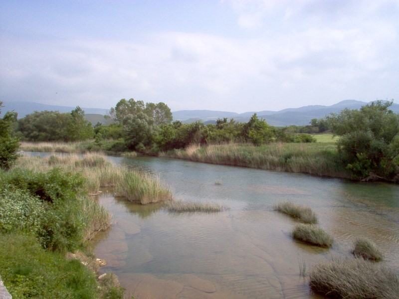 balsa de paz