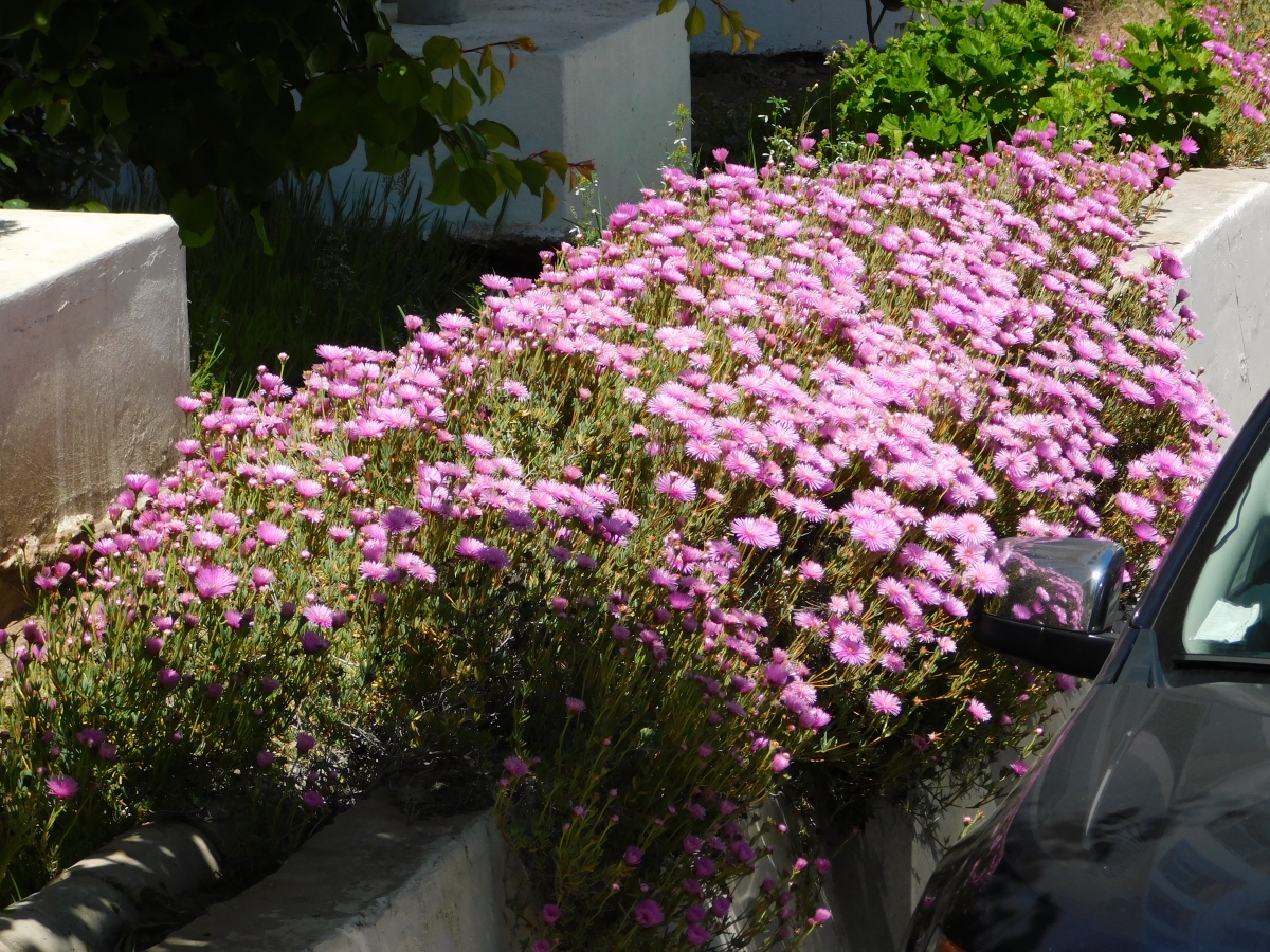 M jardin en el trabajo 