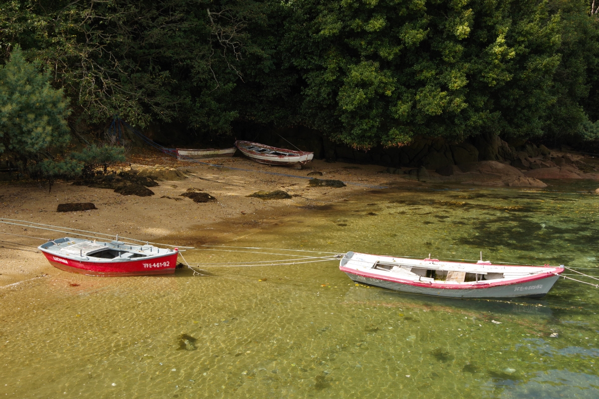 Marinas XI