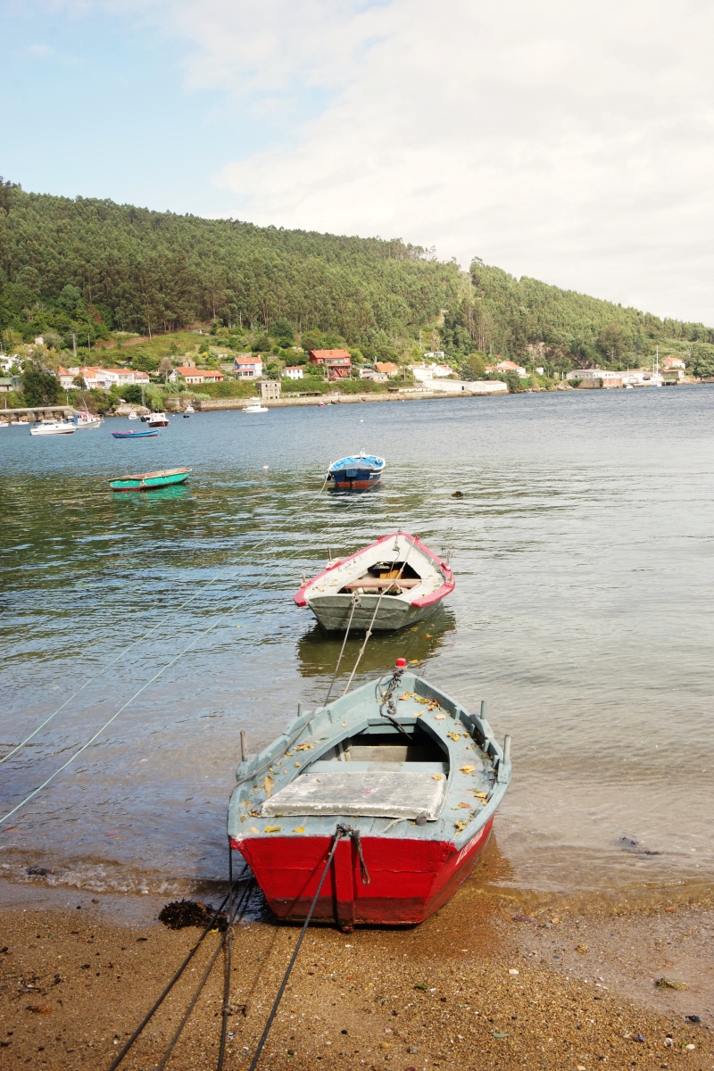 Marinas XII