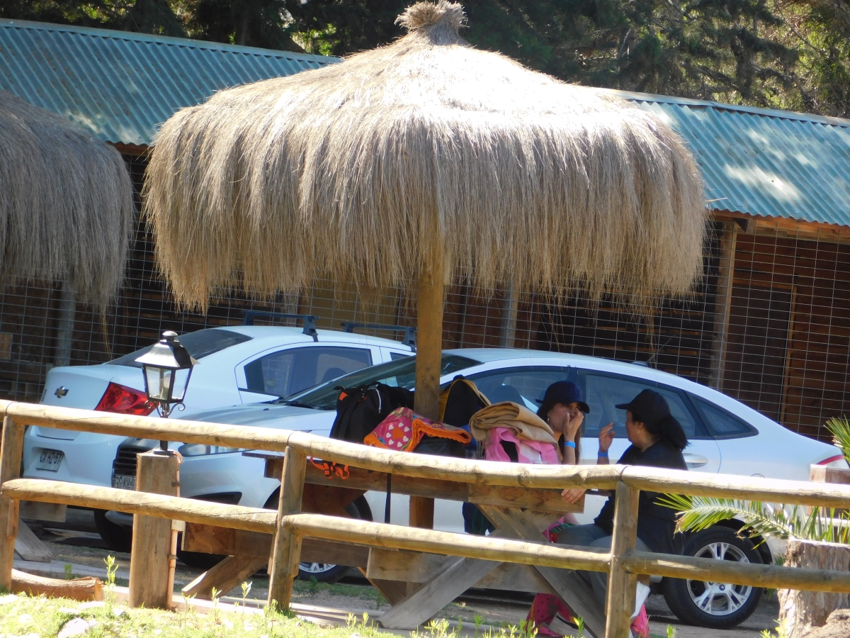 Paseo al valle 1