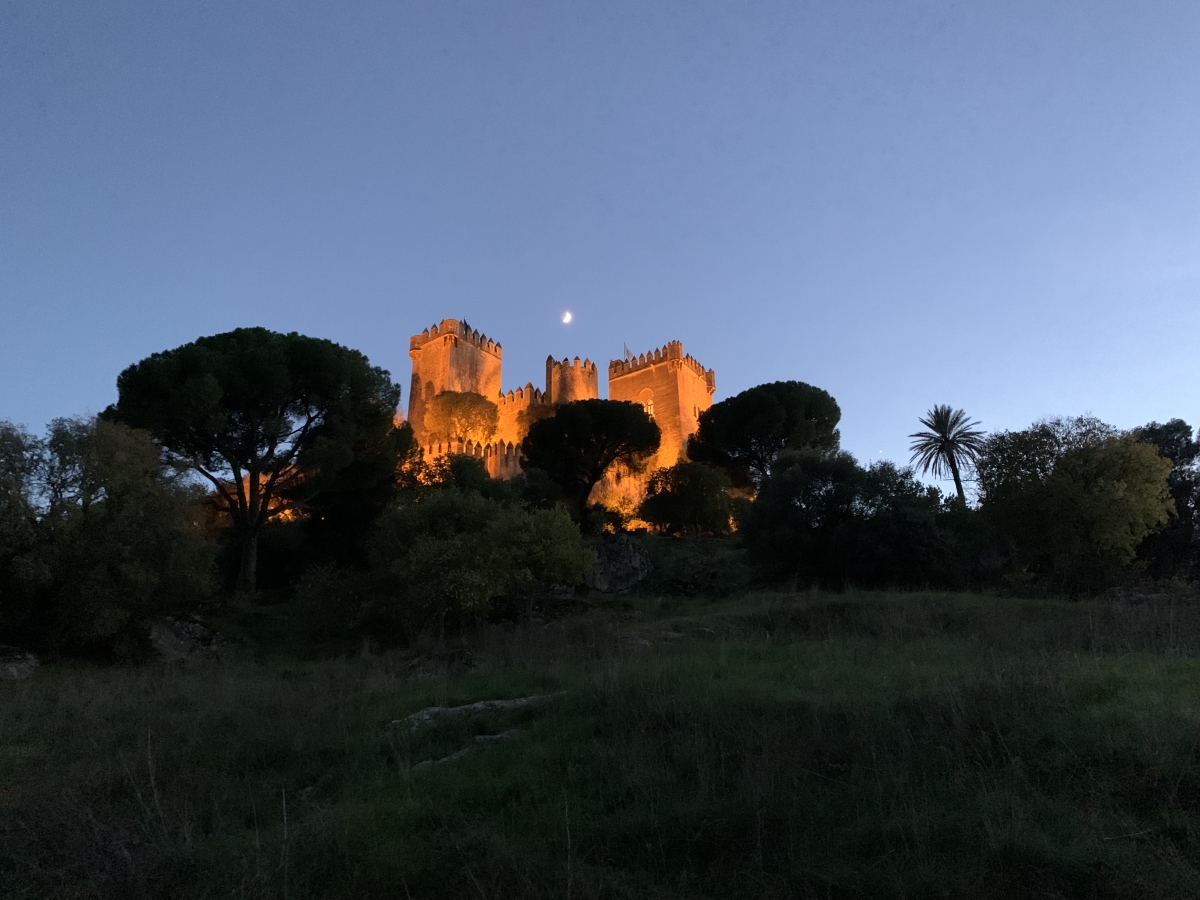 Imagen nocturna del Castillo