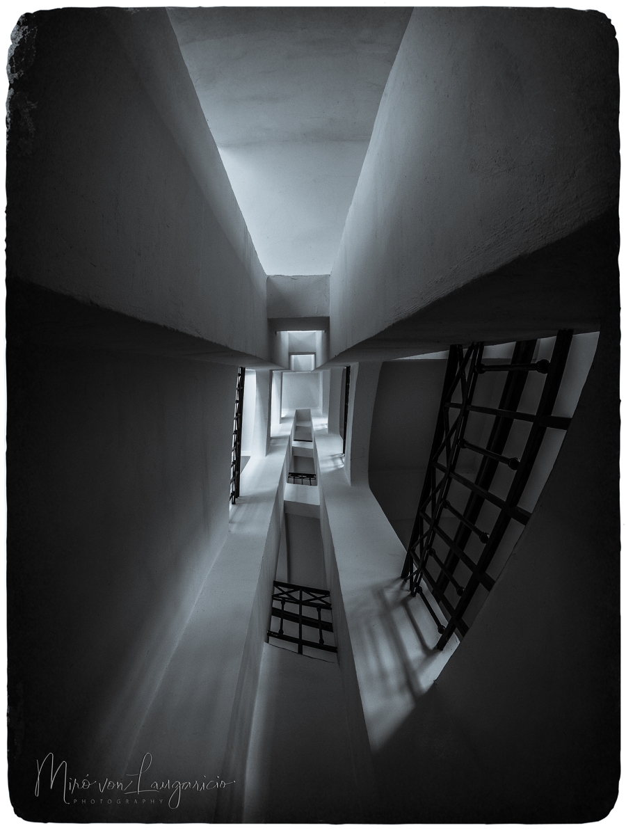  Camino hacia la luz 