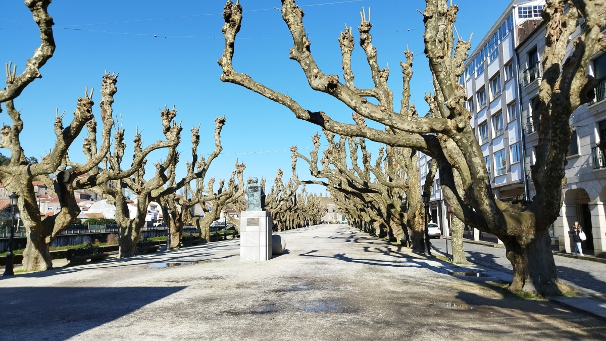 Padrn. Pontevedra. Galicia