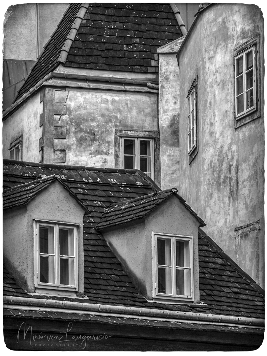  Historias silenciosas de las ventanas 
