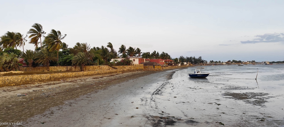 CAPTARD A TOLIARA