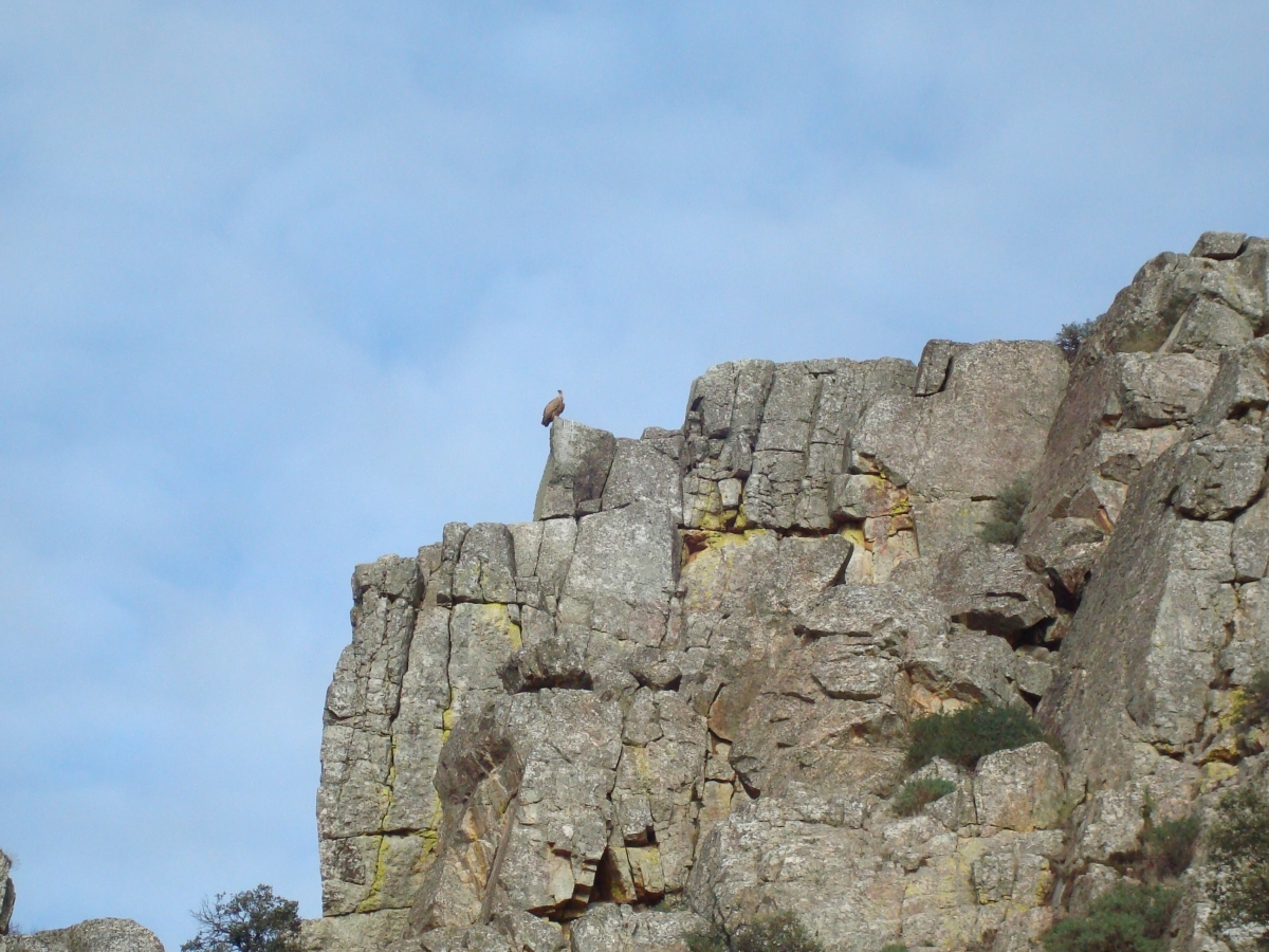 Monfrage. Cceres. Extremadura. 