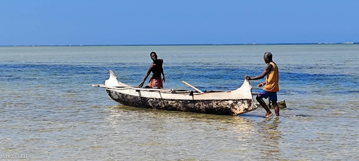 TORNADA DE LA PESCA