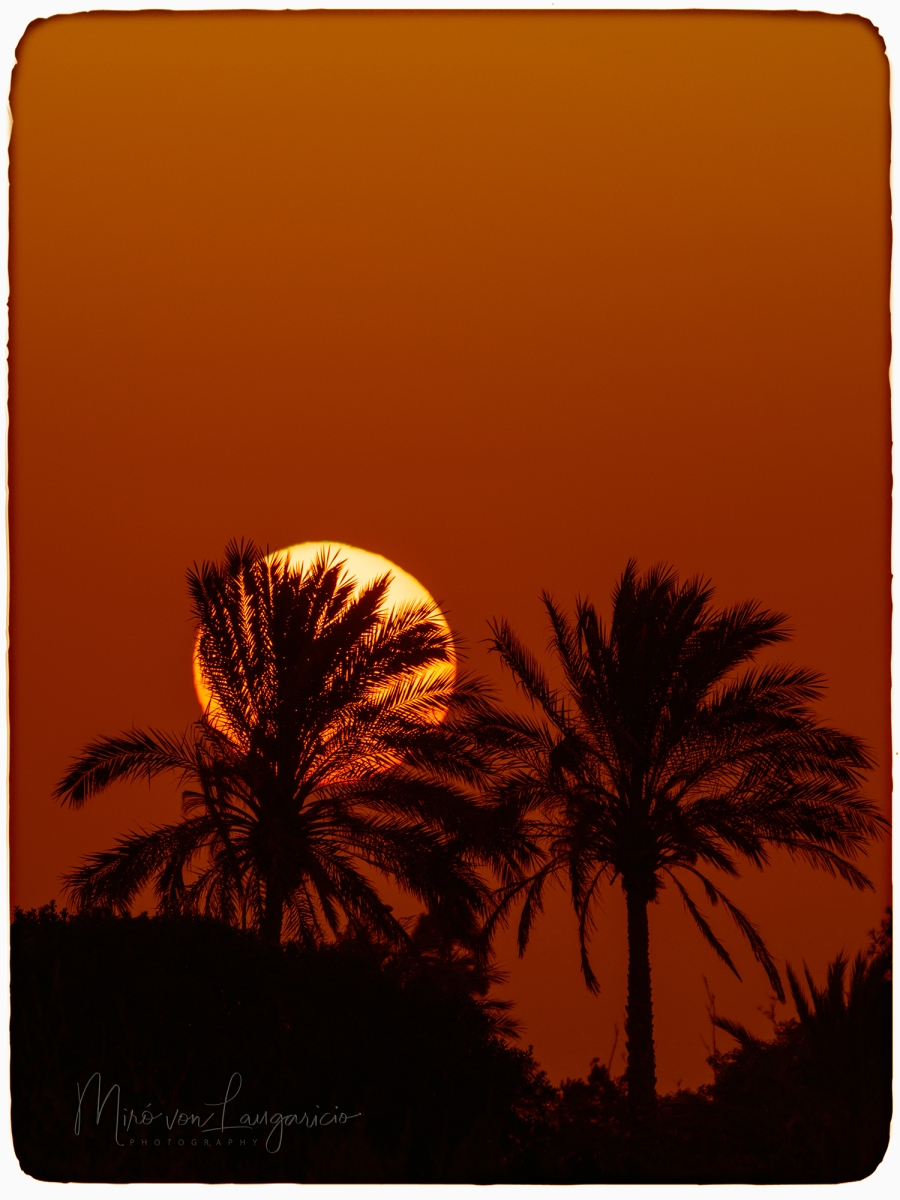 El beso del sol 