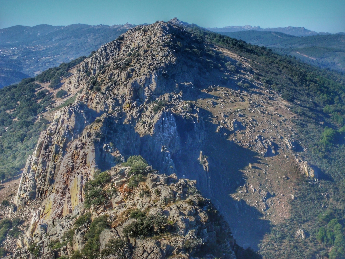 Monfrage