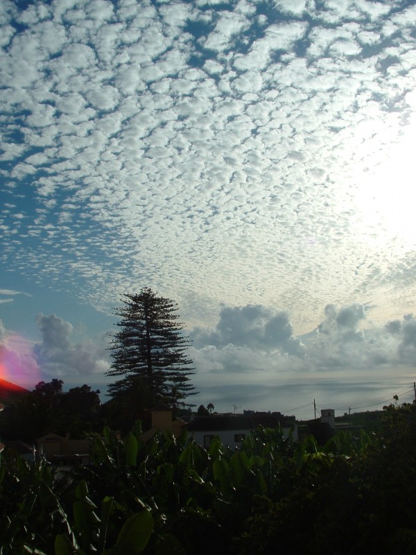 nubes de algodon