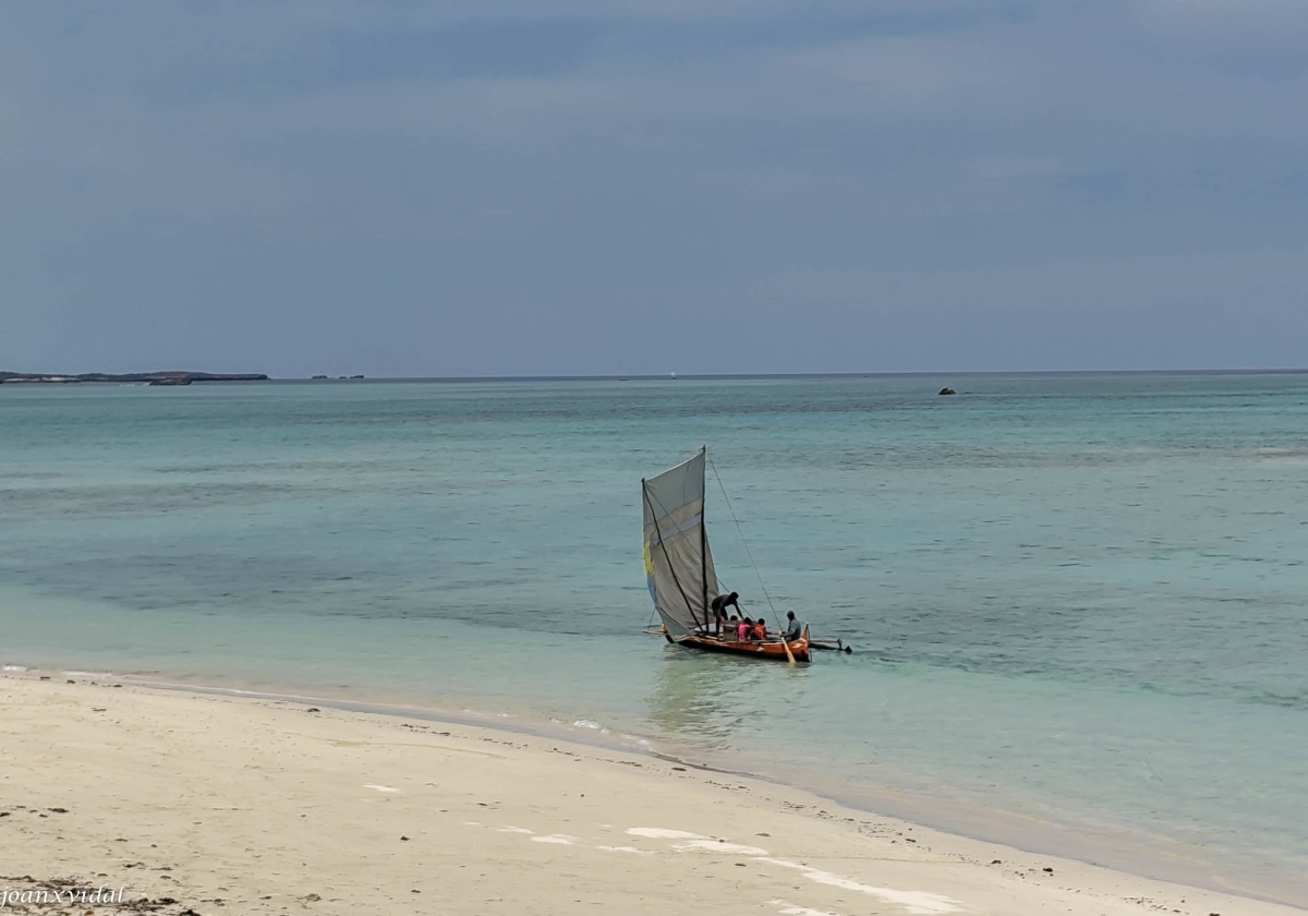 TORNADA DE LA PESCA